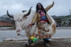 The Yak Man of Shangrila
